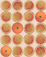 Обои Cole & Son Fornasetti Senza Tempo арт-114-24047 — фото 1, Обои