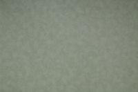 Обои NC Color арт-4050-030 — фото 1, Обои