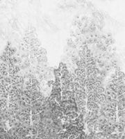 Обои Khroma Misuto арт-DGMIS1022 — фото 1, Обои