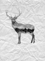 Фрески Wall Street Фрески арт-16947 — фото 1, Фрески