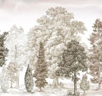 Обои Loymina Пейзаж vol. 2 арт-ART14-012 — фото 1, Обои