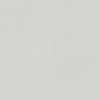 Обои AS Creation Original View Винил на флизелине (0,53*10,05) Серый, Рогожка арт-35866-1 — фото 1, Обои