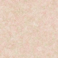 Обои Aura Cute арт-PF38129 — фото 1, Обои