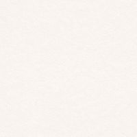 Обои Rasch Bauhaus арт-343205 — фото 1, Обои