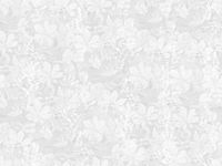 Фрески Wall Street For Kids арт-20422 — фото 1, Фрески