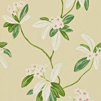 Обои Sanderson Richmond Hill арт-DRCH212130 — фото 1, Обои