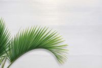 Обои Carl Robinson Edition 20 арт-CL50010 — фото 2, Обои