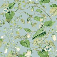 Обои York Blooms Second Edition арт-BL1714 — фото 1, Обои