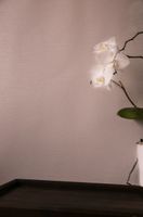 Обои Hohenberger Epic арт-63540 — фото 1, Обои