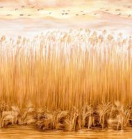 Обои Italreflexes Kata арт-KAD509 — фото 1, Обои