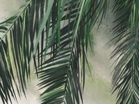 Фрески Wall Street Фрески арт-22458 — фото 1, Фрески