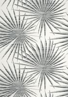 Обои Thibaut Tropics арт-T10145 — фото 1, Обои