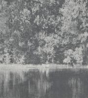 Обои Black Edition Mizumi арт-W924-01FP — фото 1, Обои