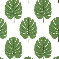 Обои Thibaut Palm Grove арт-T13952 — фото 1, Обои