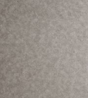 Обои Clarke & Clarke Reflection арт-W0056-06 — фото 1, Обои