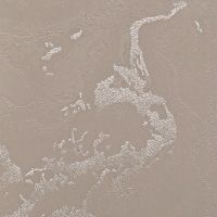 Обои Bernardo Bartalucci Gaga арт-84282-9 — фото 1, Обои для стен