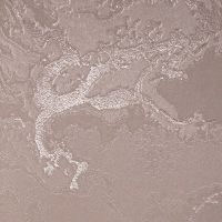 Обои Bernardo Bartalucci Gaga арт-84282-25 — фото 1, Обои