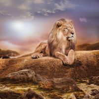 Товар: Обои Loymina Illusion vol. II арт-DA008 - фото 1 Обои Loymina Illusion vol. II арт-DA008 — фото 1, Обои