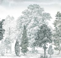 Обои Loymina Пейзаж vol. 2 арт-ART14-011 — фото 1, Обои