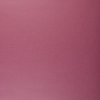 Обои Clarke & Clarke Showstoppers арт-W0006-20 — фото 1, Обои