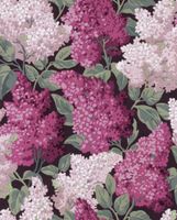 Обои Cole & Son Botanical арт-115-15045 — фото 1, Обои