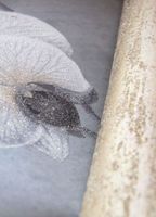 Товар: Обои Architector Malibu арт-ML01426 - фото 2 Обои Architector Malibu арт-ML01426 — фото 2, Обои