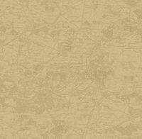 Обои Aura Forever Young арт-H2910305 — фото 1, Обои