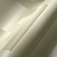 Обои A.S. Creation Versace 5 арт-38609-5 — фото 3, Обои