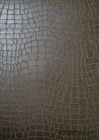 Обои Carlucci di Chivasso Wonderwalls арт-CA8168-071 — фото 1, Обои