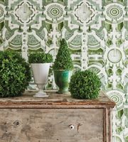 Обои Cole & Son Botanical арт-115-2005 — фото 2, Обои