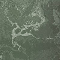 Обои Bernardo Bartalucci Gaga арт-84282-29 — фото 1, Обои