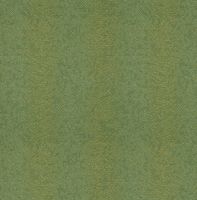 Обои Epoca Amazon River арт-AR1208 — фото 1, Обои