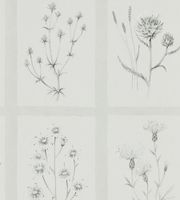 Обои Sanderson Embleton Bay арт-216512 — фото 1, Обои