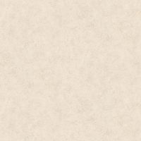 Обои AS Creation Accent Винил на флизелине (1,06*10,05) Бежевый, Штукатурка арт-38331-2 — фото 1, Обои