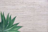 Обои Carl Robinson Edition 20 арт-CL50013 — фото 2, Обои