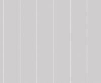Обои Andrea Rossi Spectrum Pro Винил на флизелине (1,06*10) Серый, Полоса арт-54387-18 — фото 1, Обои для стен