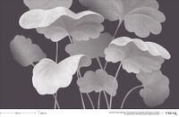 Фрески Fresq Classic Collection арт-JVS09 — фото 6, Фрески