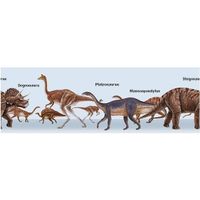 Обои Aura Forever Young арт-H2915203 — фото 1, Обои