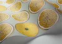 Обои Cole & Son Fornasetti Senza Tempo арт-114-24048 — фото 4, Обои