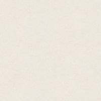 Обои AS Creation Accent Винил на флизелине (1,06*10,05) Белый, Штукатурка арт-36890-2 — фото 1, Обои