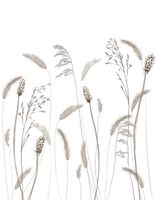 Панно Marburg Crush Motion Винил на флизелине (2,1*2,7) Белый/Серый, Листья арт-63459 — фото 1, Обои