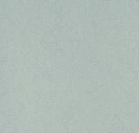 Обои Bernardo Bartalucci Legend Флизелин (1,06*10) Зеленый, Однотонные арт-5068-51 — фото 1, Обои