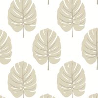 Обои Thibaut Palm Grove арт-T13956 — фото 1, Обои