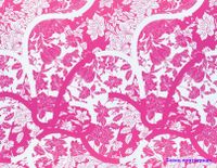 Обои Christian Lacroix Belles Rives Fabric арт-FCL046-02 — фото 1, Обои