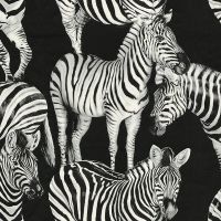 Товар: Обои Dolce&Gabbana Dolce&Gabbana №1 арт-30023DG - фото 1 Обои Dolce&Gabbana Dolce&Gabbana №1 арт-30023DG — фото 1, Обои