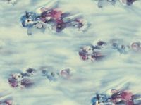 Обои Mayflower Solaris арт-WMAFJ040100 — фото 1, Обои