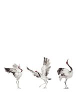 Панно Marburg Crush Motion Винил на флизелине (2,1*2,7) Белый/Серый, Птицы арт-63440 — фото 1, Обои