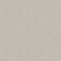 Обои AS Creation Accent Винил на флизелине (1,06*10,05) Серый, Штукатурка арт-38507-2 — фото 1, Обои