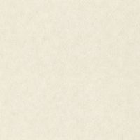 Обои RASCH Factory Style Винил на флизелине (1,06*10,05) Бежевый, Штукатурка арт-947649 — фото 1, Обои