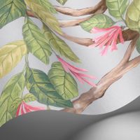 Обои Cole & Son Hummingbirds Cream арт-124-2010 — фото 5, Обои